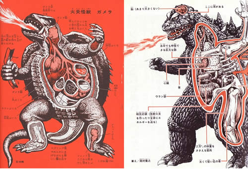 Anatomía Godzilla y Gamera