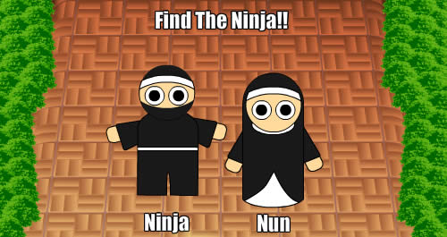 ninja_or_nun