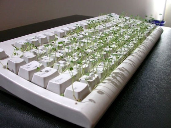 tecladonatural