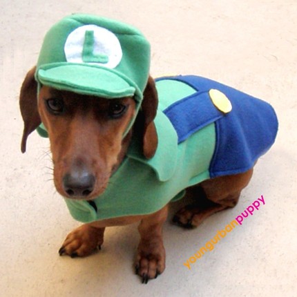 enchufe Normal fluido Cosplay para perros, disfraza a tu mascota de los personajes de Super Mario  – PixFans