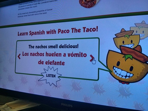 Paco the Taco (1)