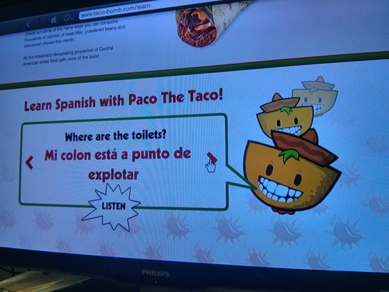 Paco the Taco (4)