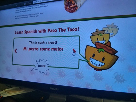 Paco the Taco (6)