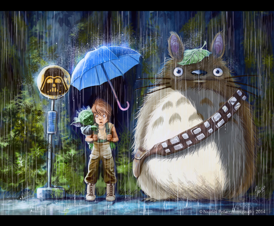Totoro (11)