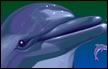 Ecco the Dolphin: El cetáceo húngaro